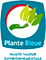 Plante bleue